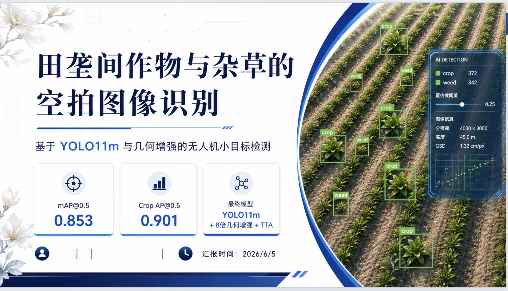 田垄间作物与杂草识别
